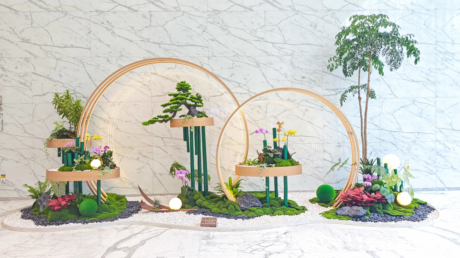 了解北仑绿植出租价格,给生活添一抹绿韵